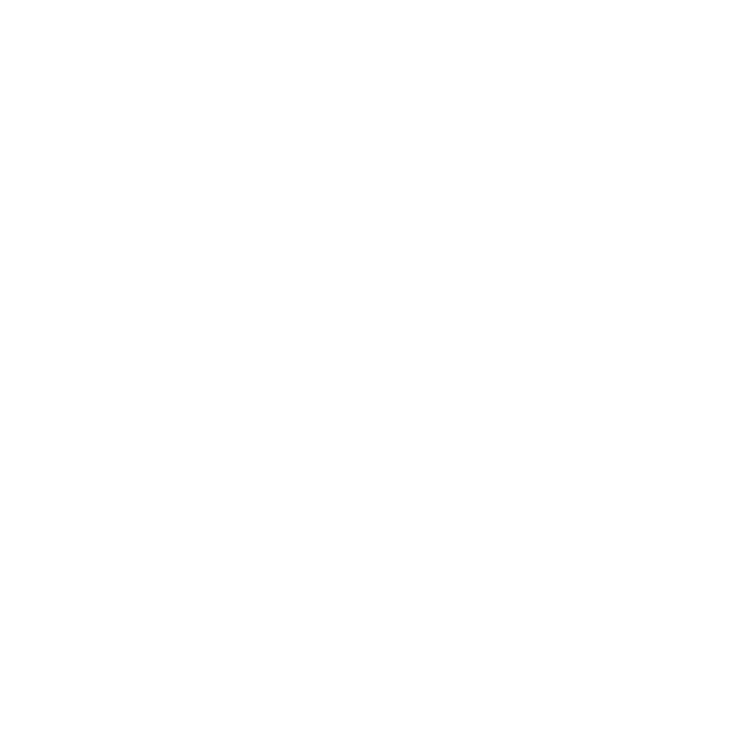 Smash Dink Indoor Pickleball