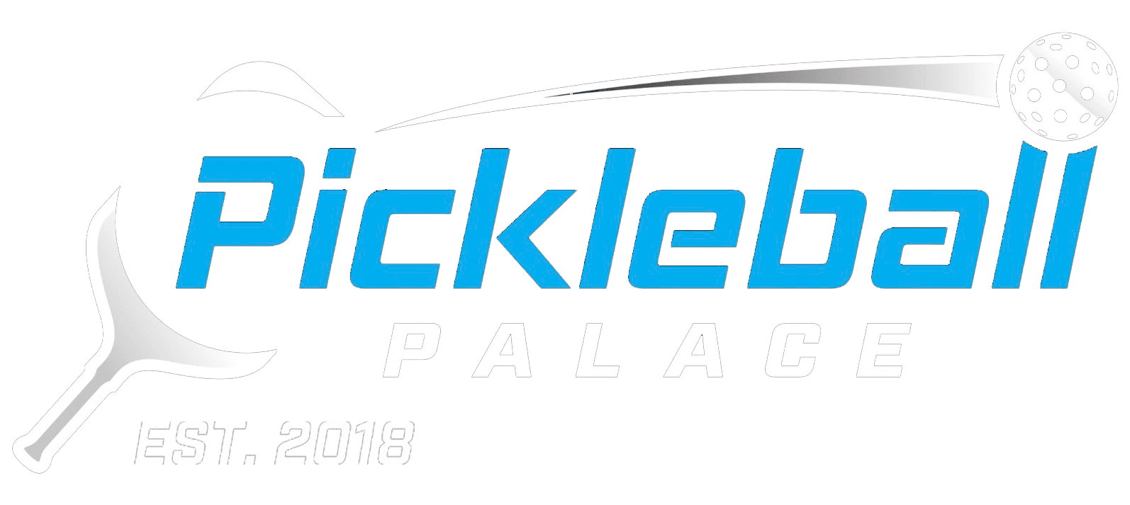 Pickleball Palace pickleball court
