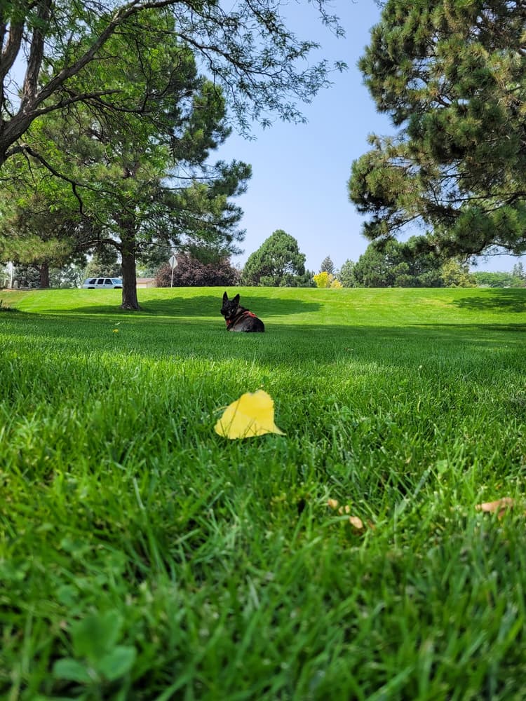 Seven Hills Park