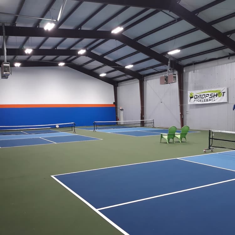 Drop Shot Pickleball
