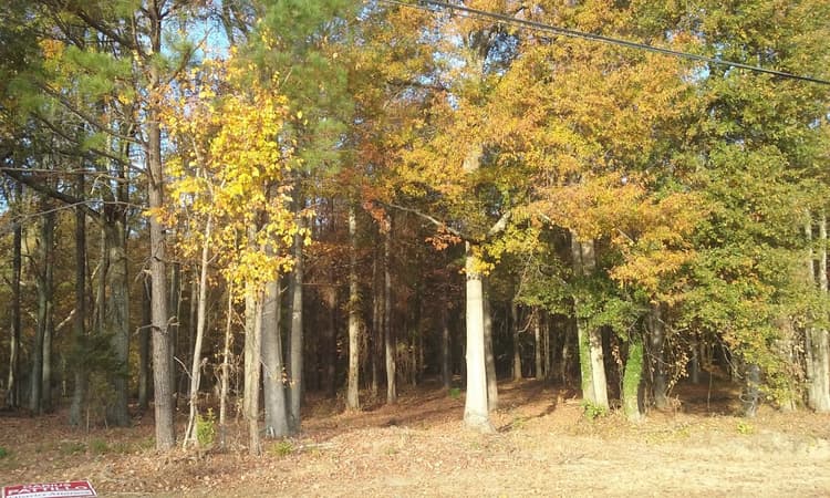 McBrayer Park