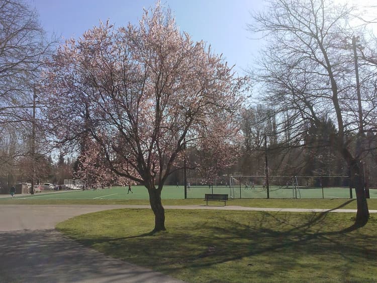Shoreline Twin Ponds Park Pickleball and Tennis Court