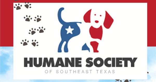 Dog Days of Summer Pickleball and Ping Pong Tournament benefitting the Humane Society