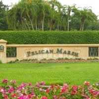 The Foundation of Pelican Marsh pickleball court