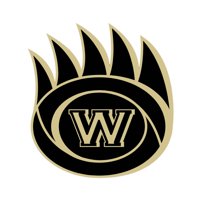 Wolverines Tennis Academy pickleball court