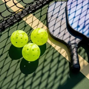 The Pickleball Club - Pickleball Republic pickleball court