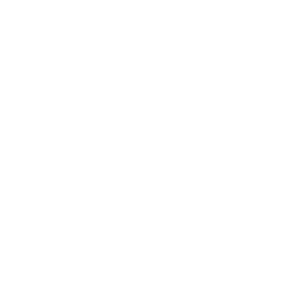 Smash Dink Indoor Pickleball pickleball court
