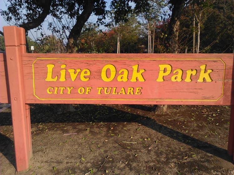 Live Oak Park