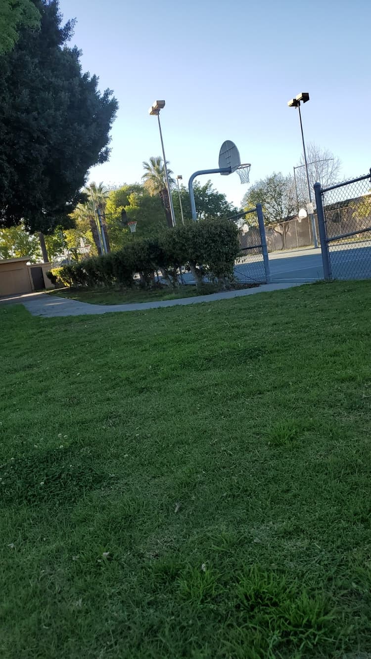 Brenner Park
