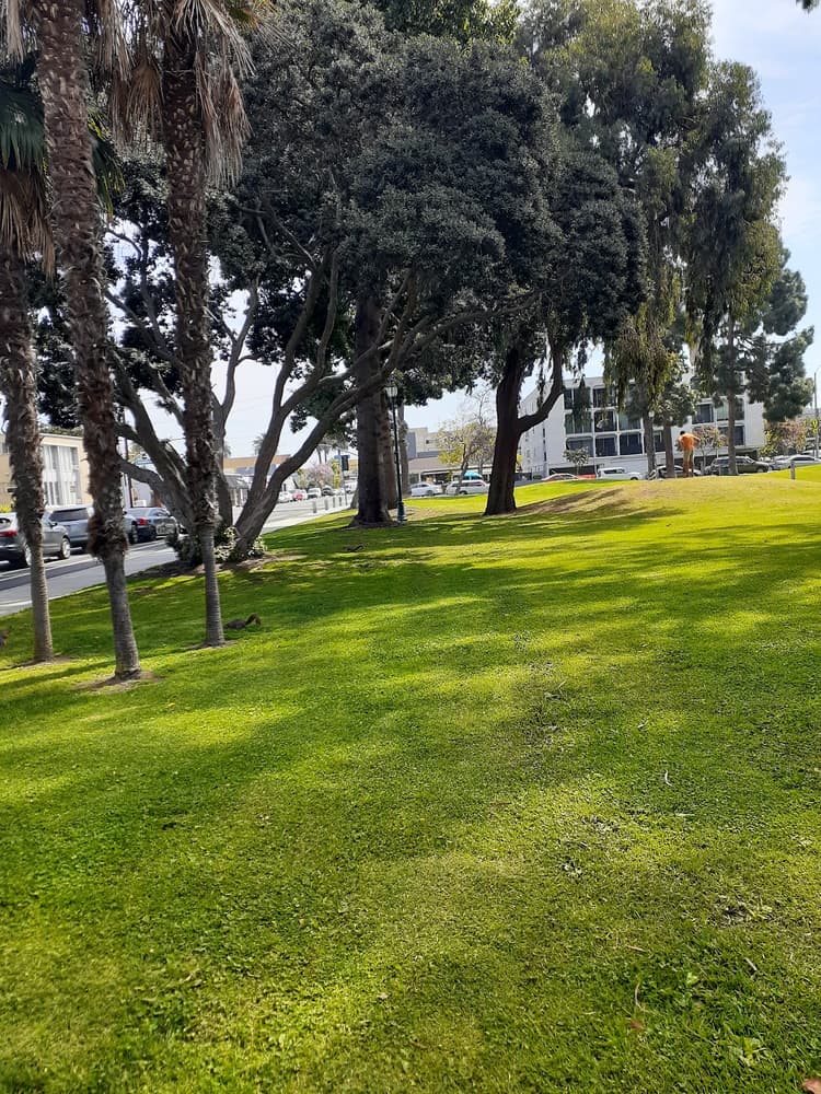Bixby Park